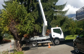 SD Élagage 69 Paysagiste - Elagage à Limonest (69760)
