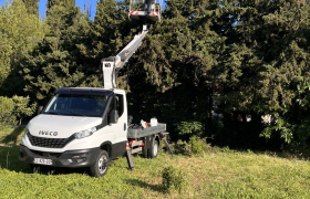Rabattage de plusieurs résineux avec Nacelle