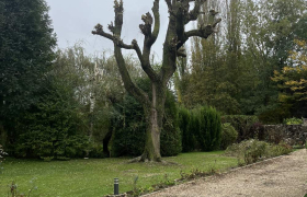SD Élagage 69 Paysagiste - Elagage à Limonest (69760)